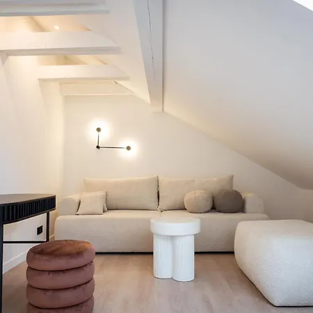 Olchowa Apartment